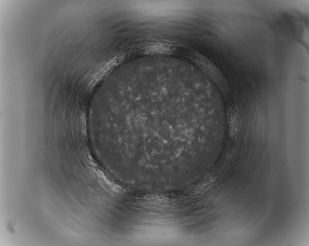 X0000101950729200808011045