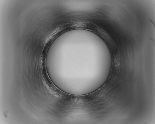 X0000101950730200808011045