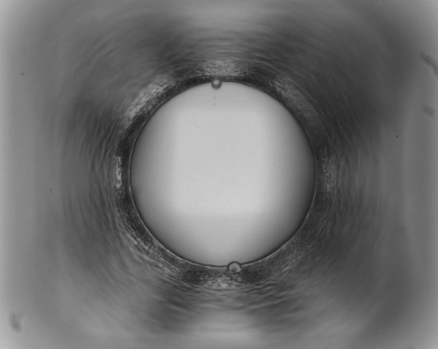 X0000101950731200808011045