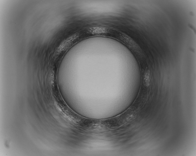 X0000101950732200808011045