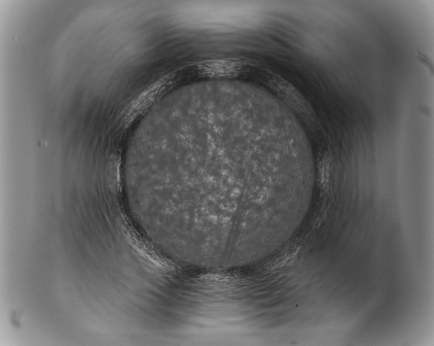 X0000101950733200808011045