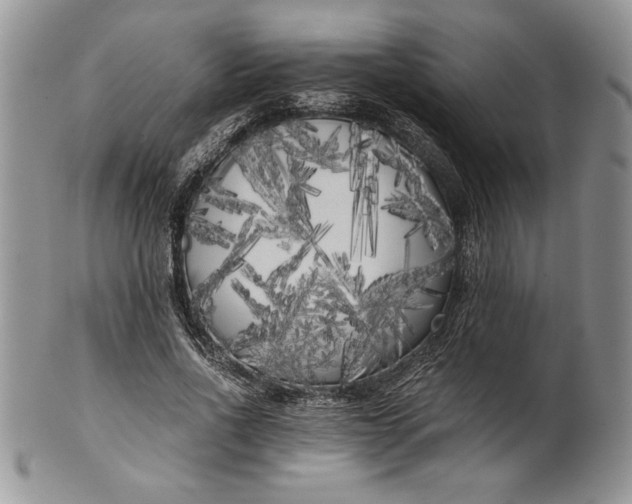 X0000101950734200808011045