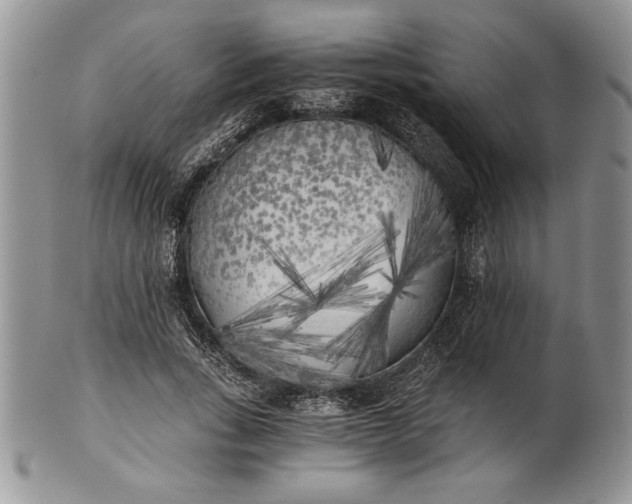 X0000101950735200808011045