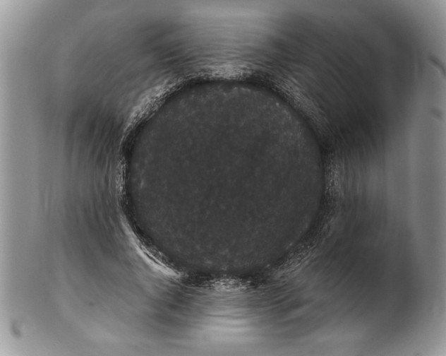 X0000101950736200808011045