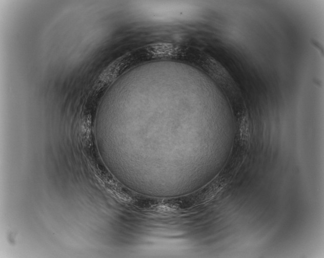 X0000101950737200808011045