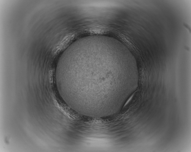 X0000101950738200808011045