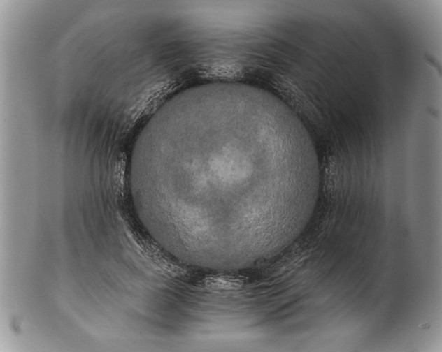 X0000101950739200808011045