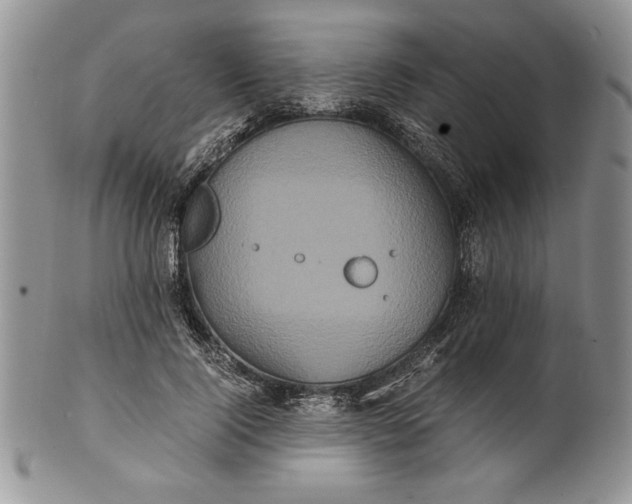 X0000101950740200808011045