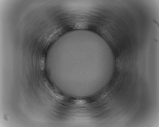 X0000101950741200808011045