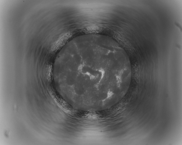 X0000101950742200808011045