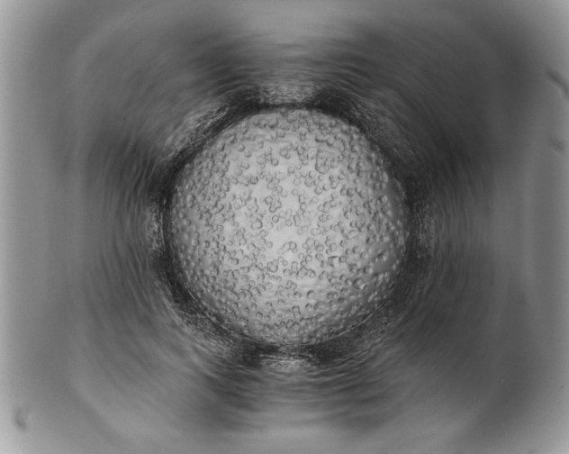 X0000101950743200808011045