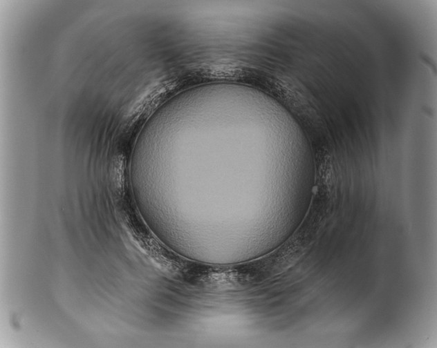 X0000101950744200808011045