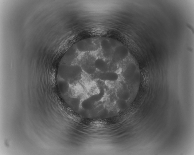 X0000101950745200808011045