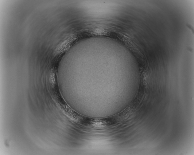 X0000101950746200808011045