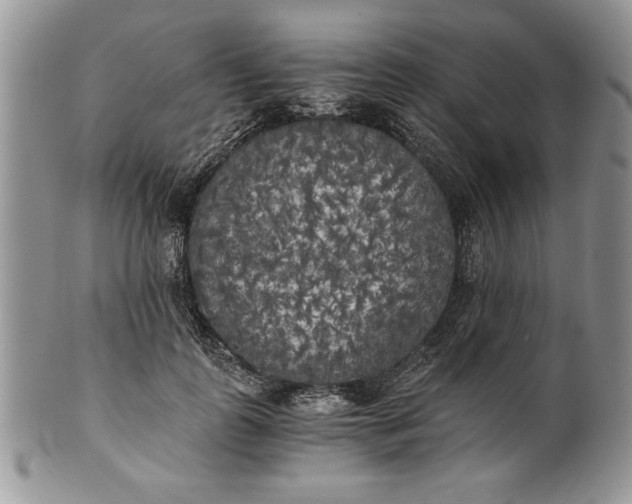 X0000101950747200808011045