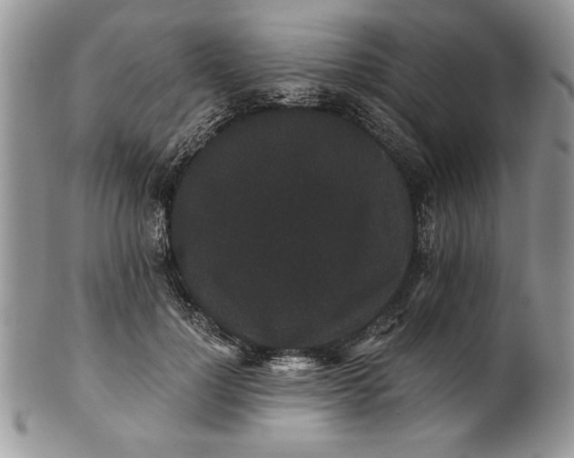 X0000101950748200808011045