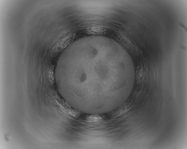 X0000101950749200808011045