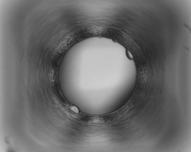 X0000101950750200808011045