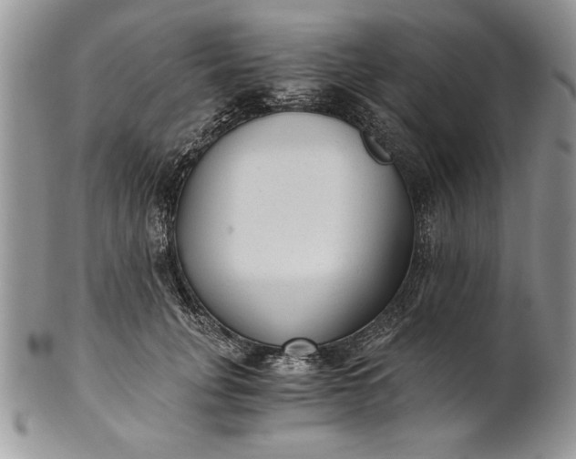 X0000101950751200808011045