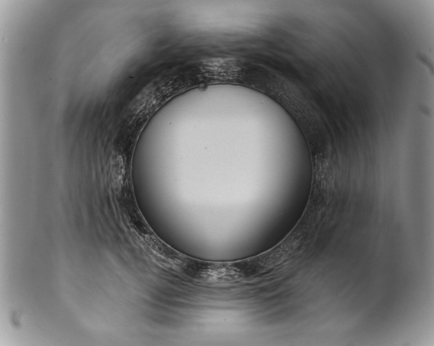 X0000101950752200808011045