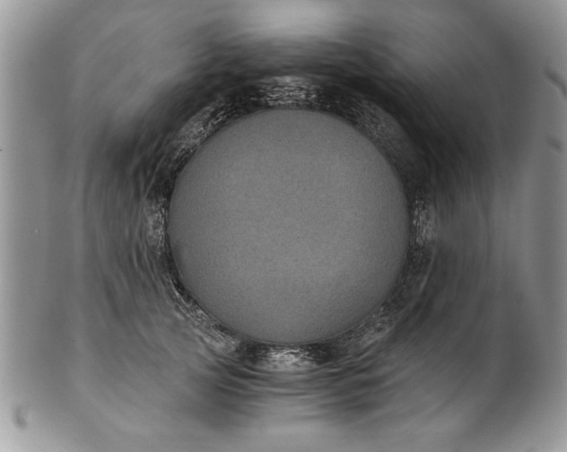 X0000101950753200808011045