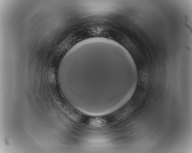 X0000101950754200808011045