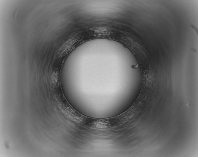 X0000101950756200808011045