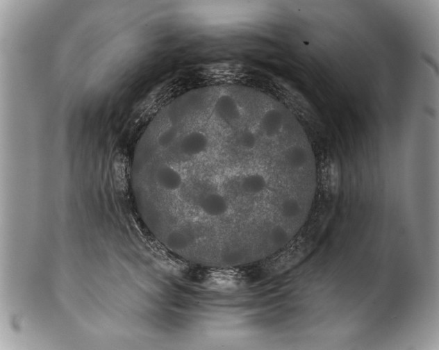 X0000101950757200808011045