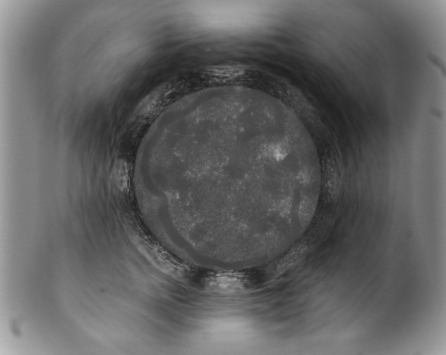 X0000101950758200808011045