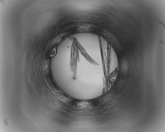 X0000101950759200808011045