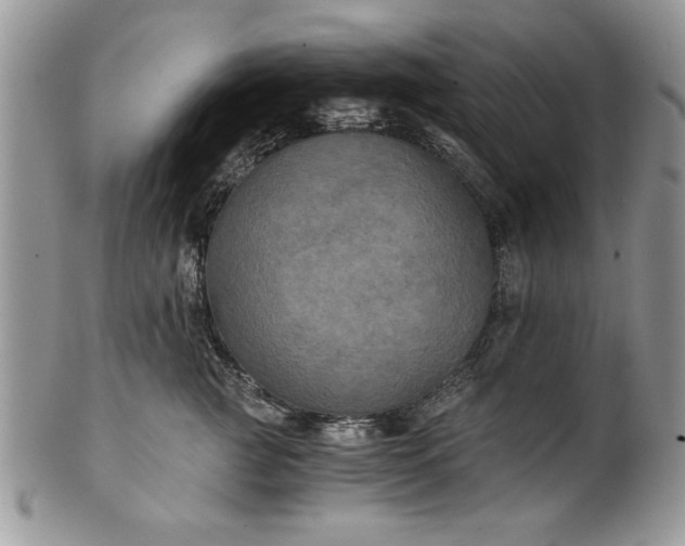 X0000101950761200808011045