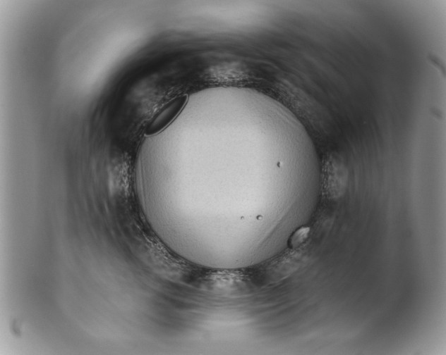 X0000101950762200808011045