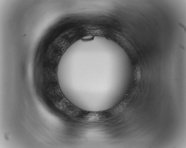 X0000101950764200808011045