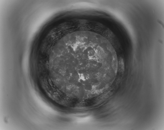 X0000101950765200808011045