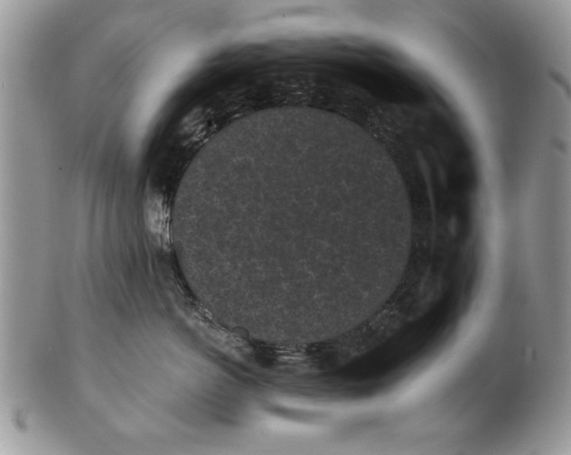 X0000101950766200808011045