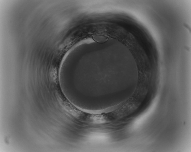 X0000101950767200808011045