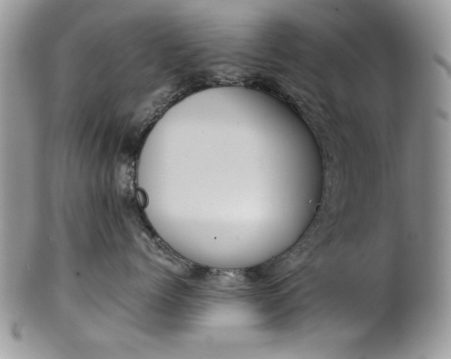 X0000101950768200808011045