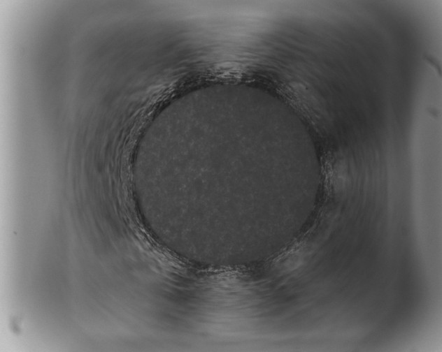 X0000101950769200808011045