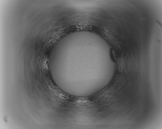 X0000101950770200808011045