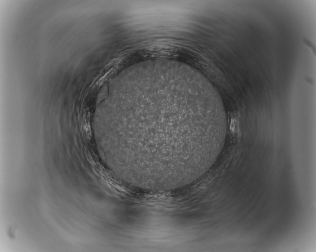 X0000101950771200808011045