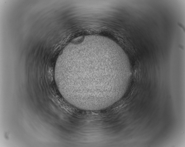 X0000101950772200808011045