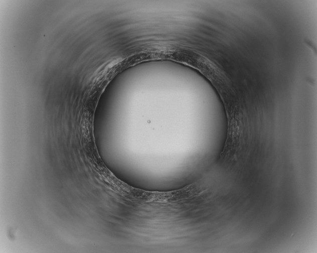 X0000101950773200808011045