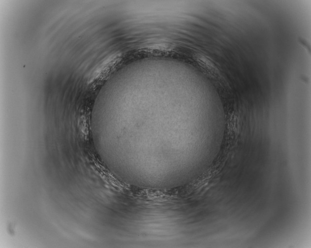 X0000101950774200808011045