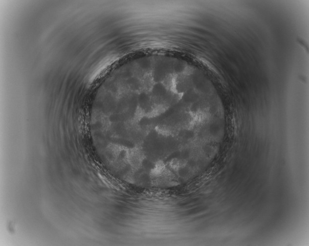 X0000101950775200808011045