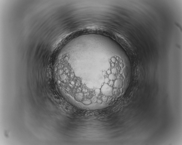 X0000101950776200808011045