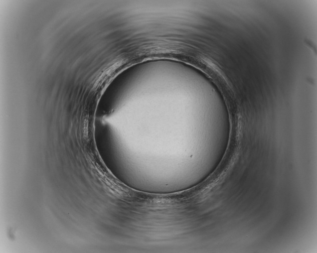 X0000101950777200808011045