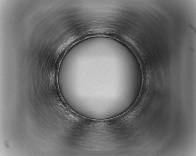 X0000101950778200808011045