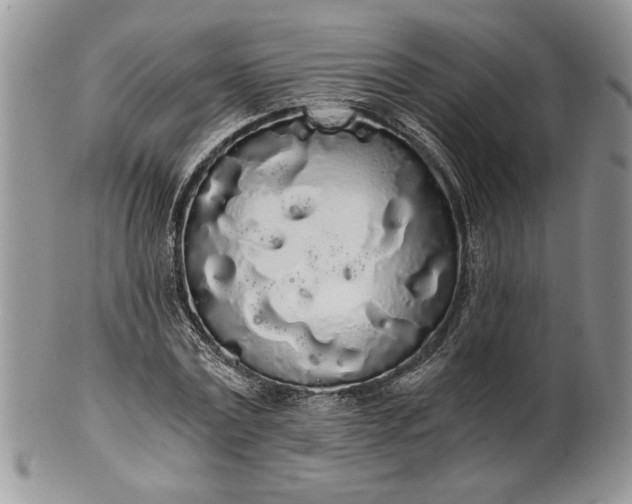 X0000101950779200808011044