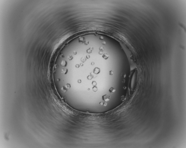 X0000101950780200808011044