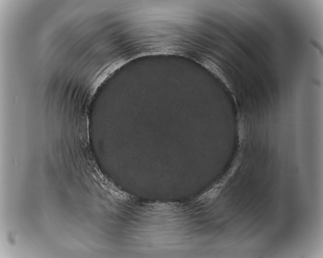 X0000101950781200808011044